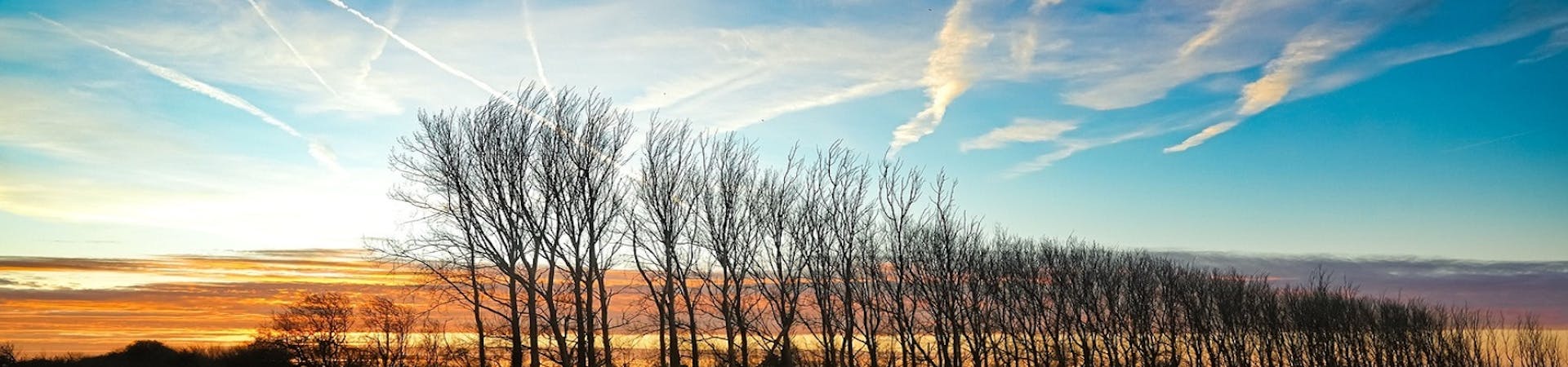 Majestic line of trees slowly being poisoned with salt as the sea water breaches the meadows at RSPB Medmerry.  Standing amongst a sky of deep blues, oranges, yellows and purple on a winters morning.