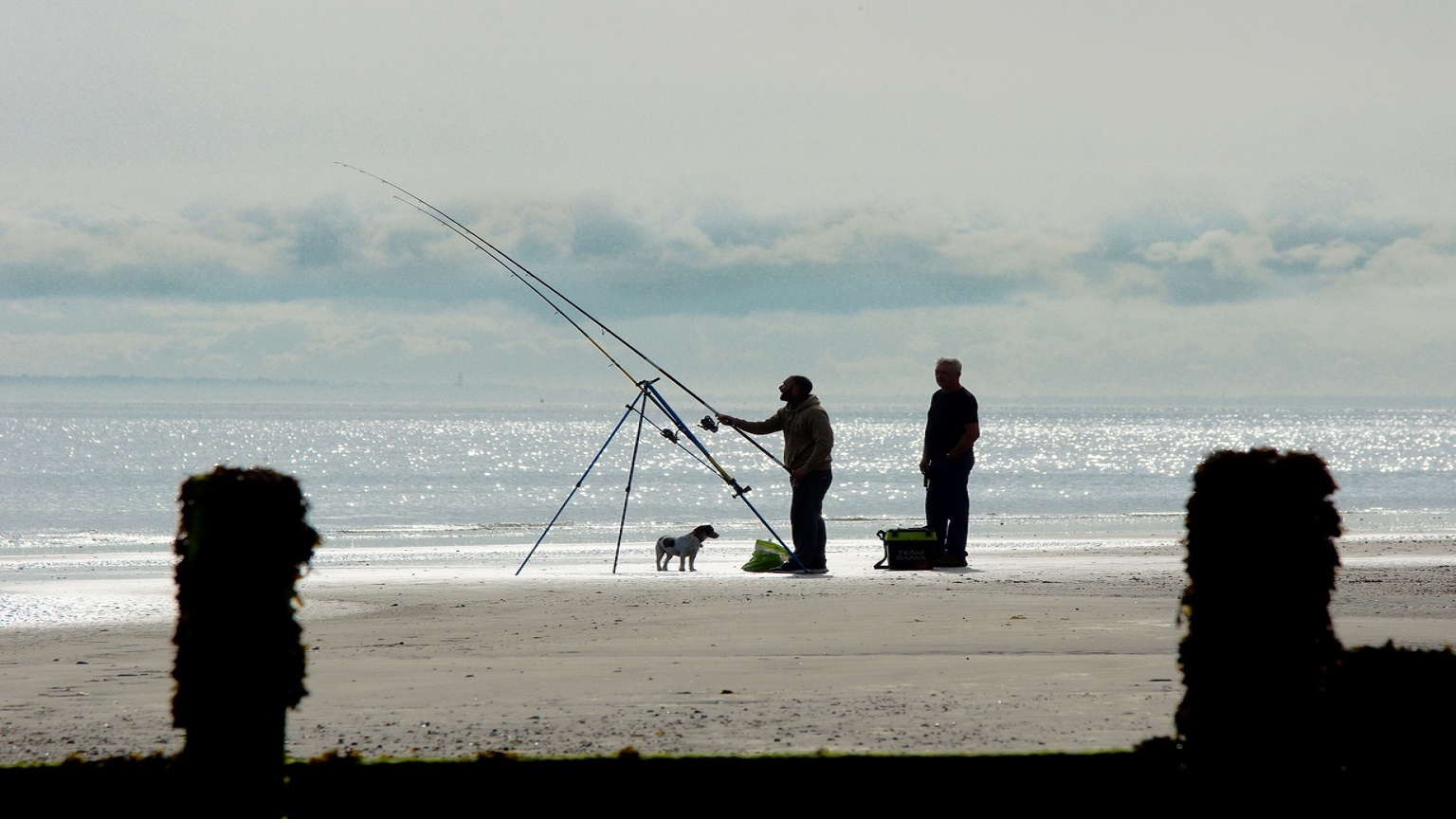 Two anglers with small dog on Selsey sandy beach at sun rise with cotton wool clouds and sparkling sea, captured been to groyne posts covered in dark seaweed.