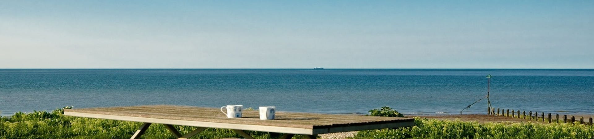 An image of two coffee cups on a picnic bench at Oval Field overlooking the blue sea on a sunny day