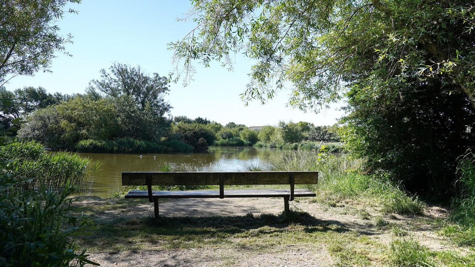 Image of a bench overlooking the waters at East Beach Pond 