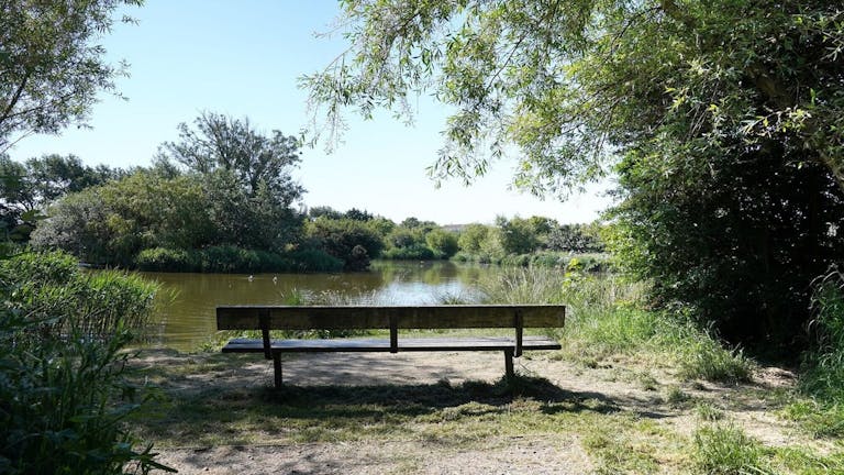 Image of a bench overlooking the waters at East Beach Pond 