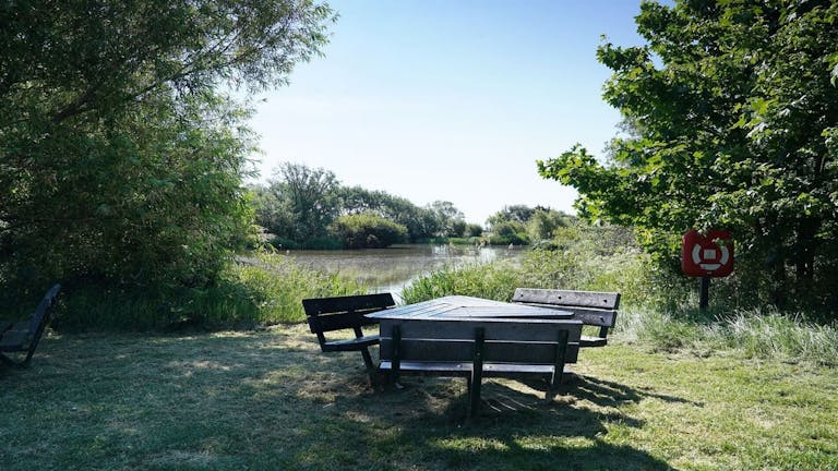 Image of picnic bench at East Beach Pond 