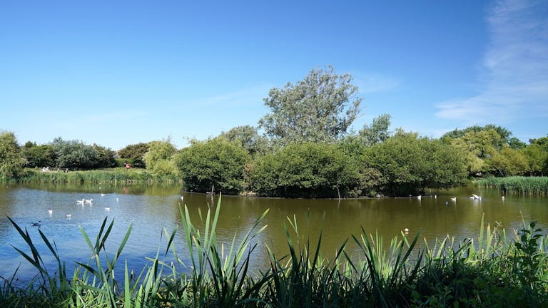 image of a East Beach Pond with nature island in the middle 