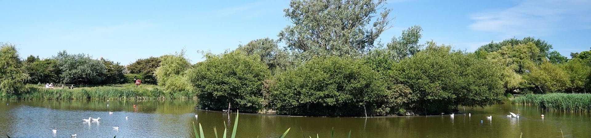 image of a East Beach Pond with nature island in the middle