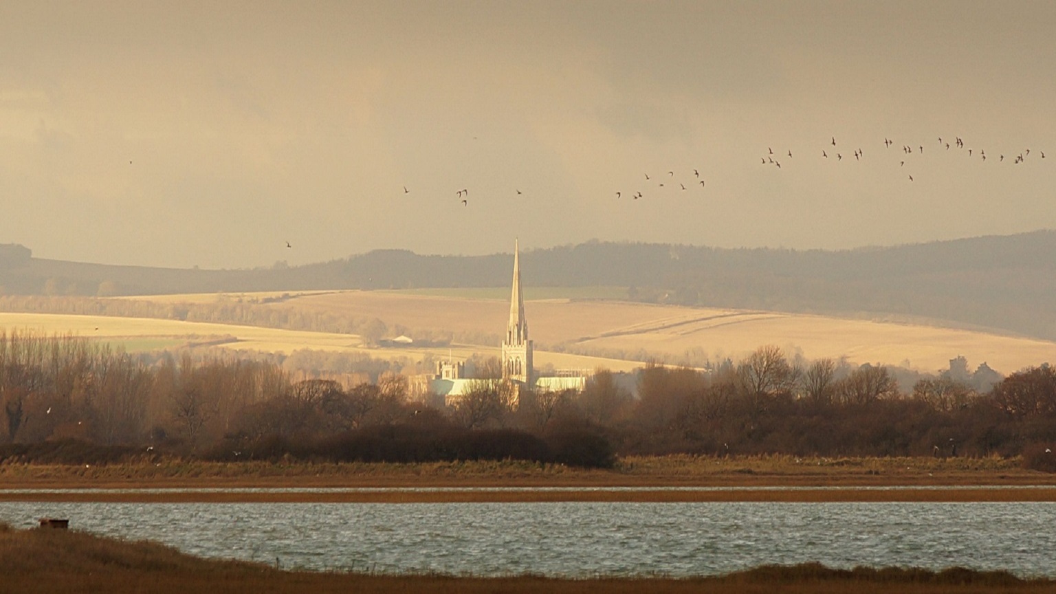 image of Chichester Cathedral viewed from Pagham Harbour with the downs in the background and a flock of birds overhead. 