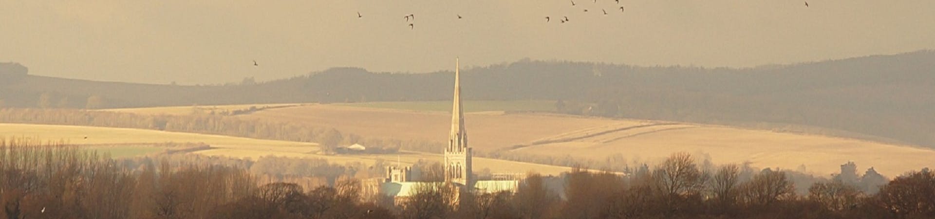 image of Chichester Cathedral viewed from Pagham Harbour with the downs in the background and a flock of birds overhead.