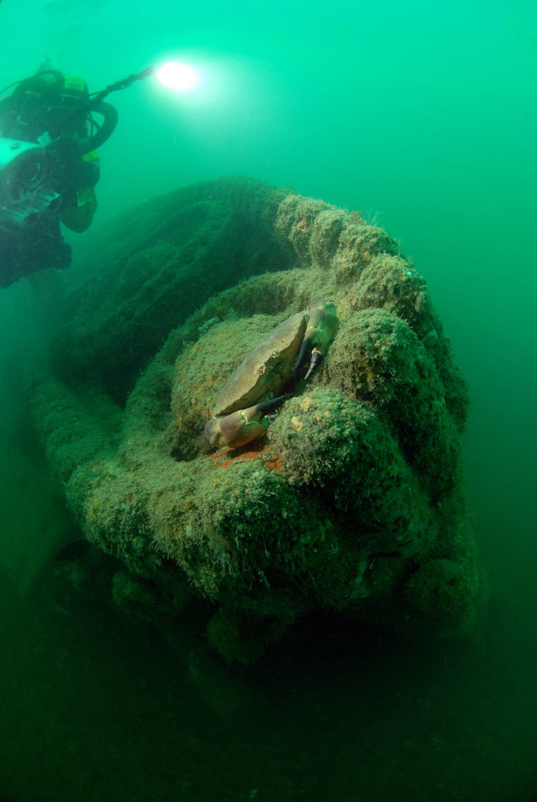Tank and resting Crab, courtesy Martin Davies Day Impage of a diver, the up turned tank and a crab
