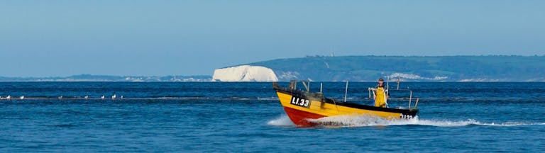 White cliffs onthe Isle of Wight in the background behind a yellow fishing boat