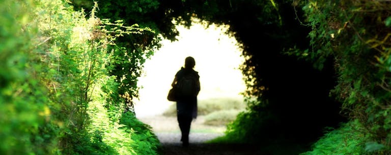 The silhouette of a person walking along a pathway encircled in greenary 