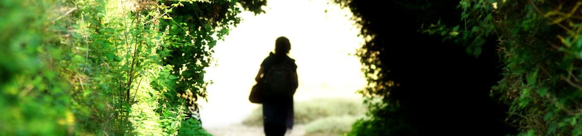 The silhouette of a person walking along a pathway encircled in greenary