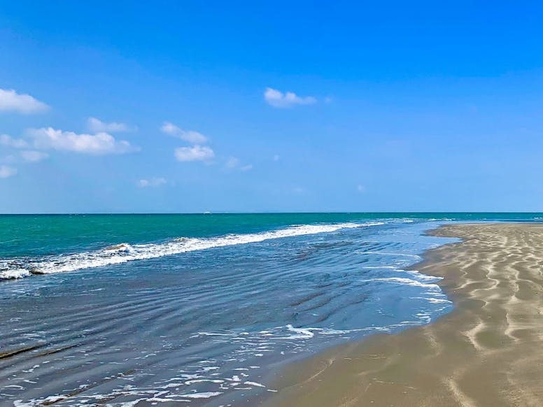 Oval Field Beach at low tide, courtesy CoastalJJ The sea, sky and sand at Oval Field Beach at low tide