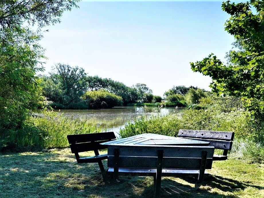 East Beach Pond, courtesy of CoastalJJ