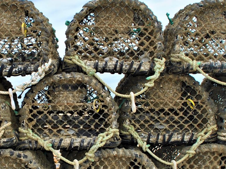 Modern Lobster Pots at East Beach Modern Lobster Posts at East Beach