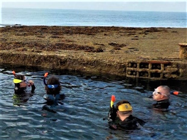 Inner Mulberry, courtesy of Mulberry Divers 