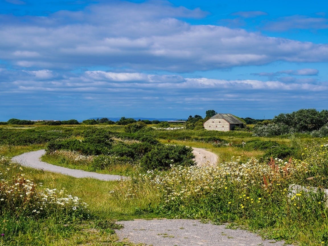 RSPB Medmerry, courtesy of CoastalJJ