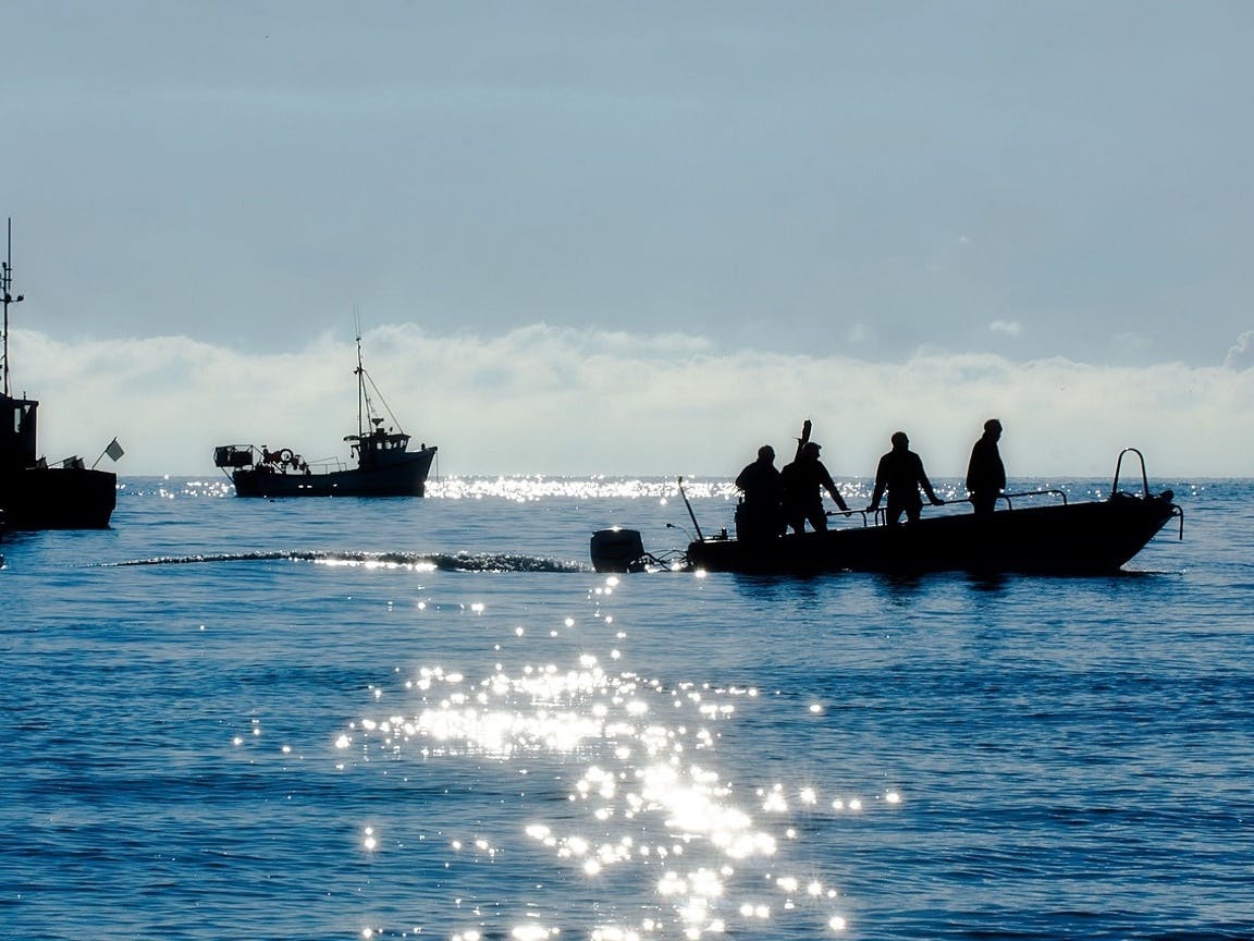Fishermen at work, courtesy of CoastalJJ