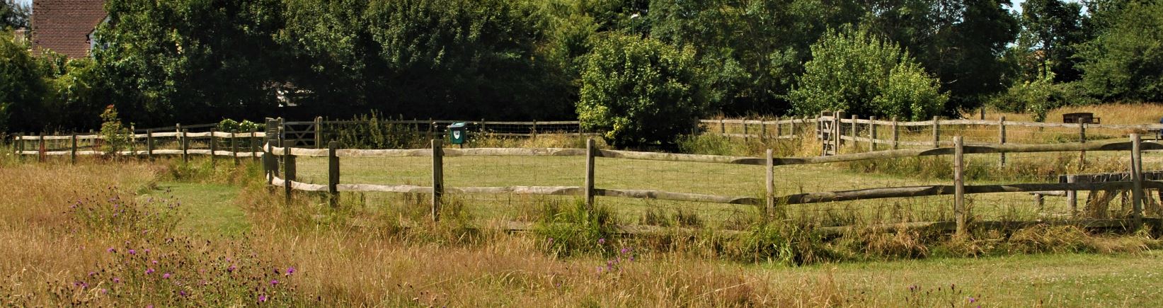 Fenced dog run at Manor Park, Selsey