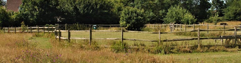 Fenced dog run at Manor Park, Selsey