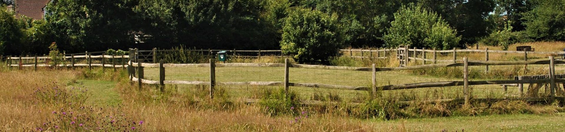 Fenced dog run at Manor Park, Selsey