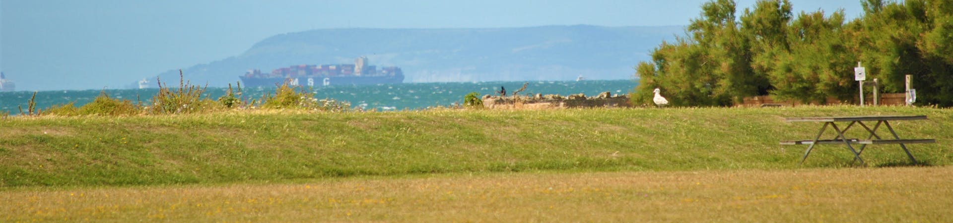 Oval field in Selsey