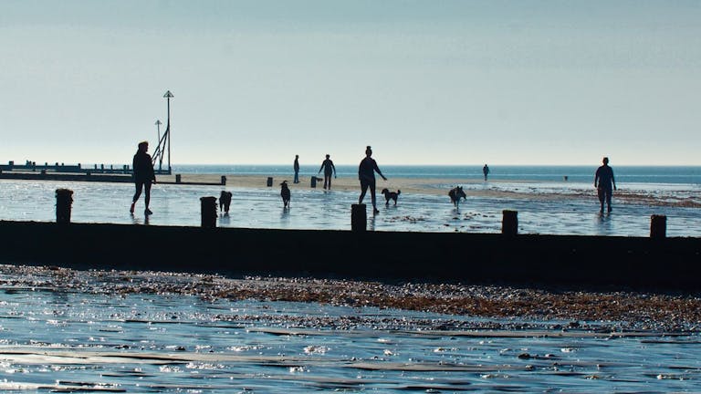 Dogs and Walkers enjoying Marine Beach, courtesy of CoastalJJ