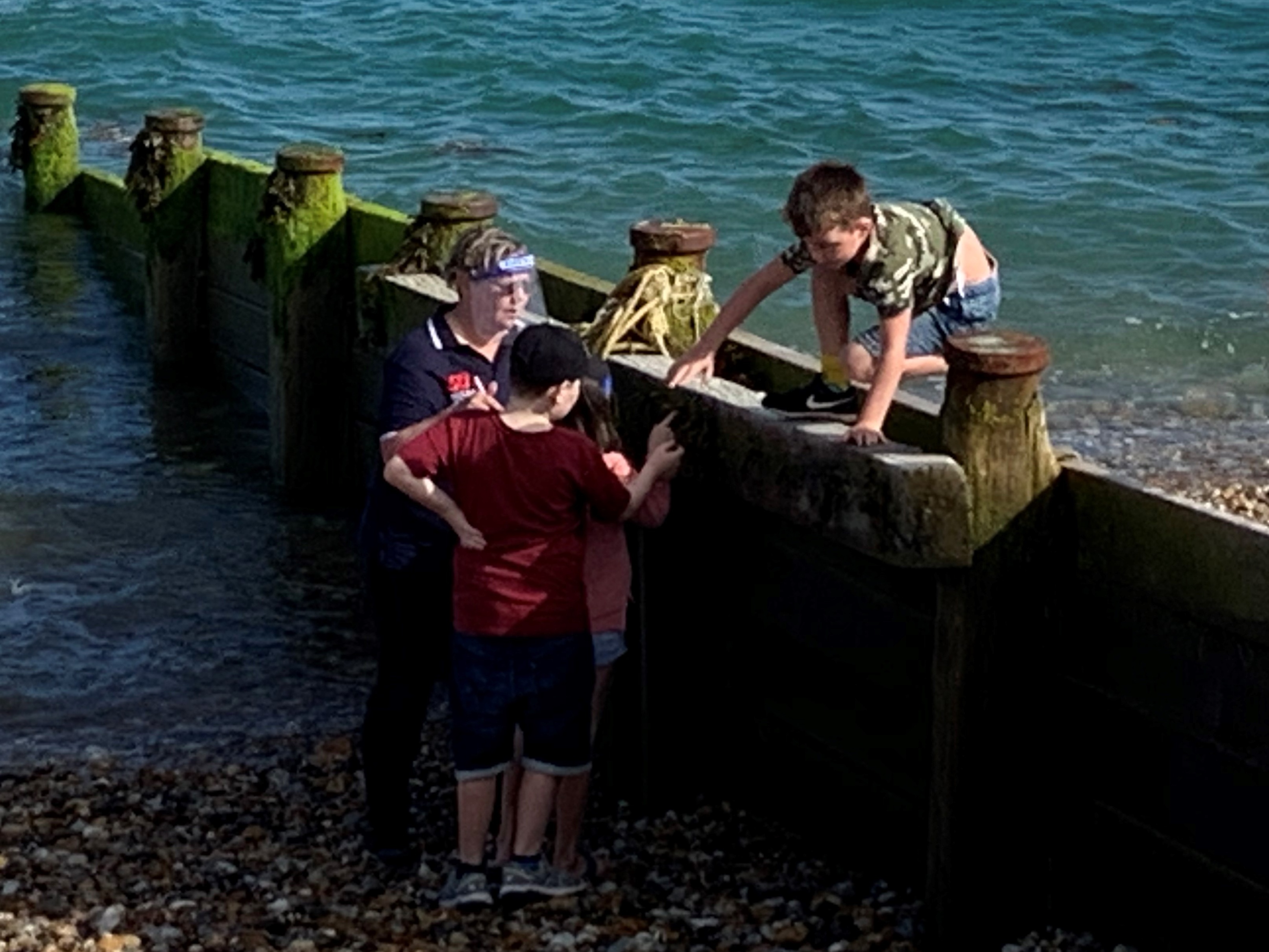 Children on the Marine Ecology Walk learning about the hidden creatures in the groynes 