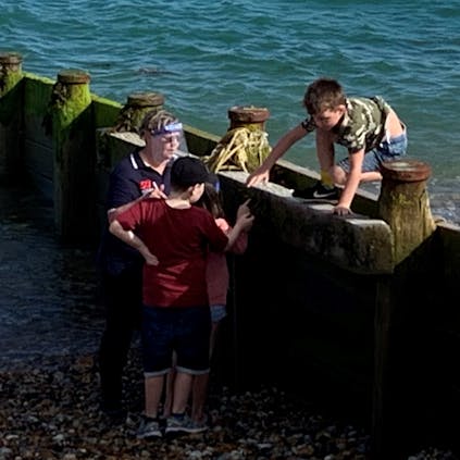 Children on the Marine Ecology Walk learning about the hidden creatures in the groynes