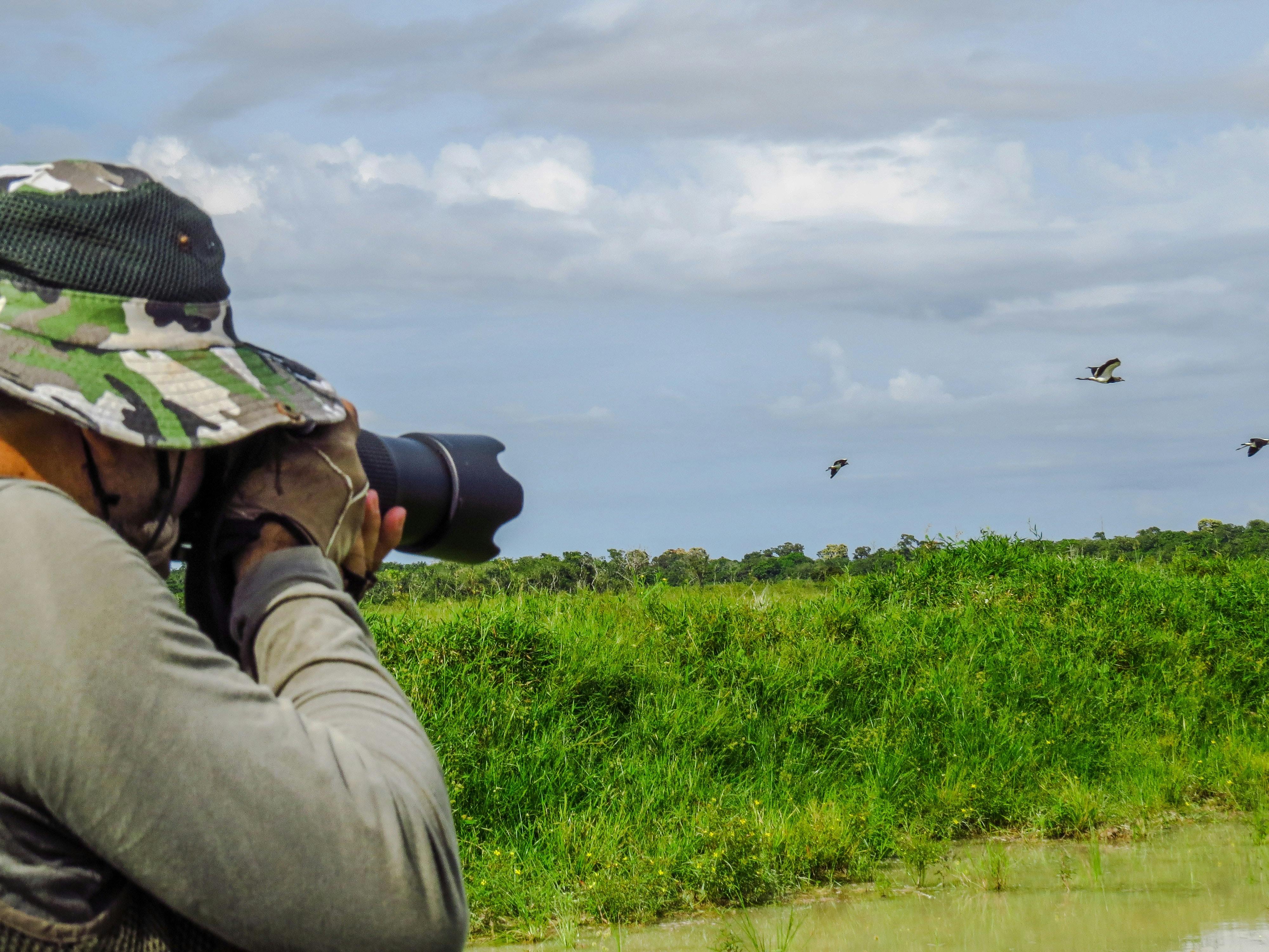 Man photographing wild birds flying 