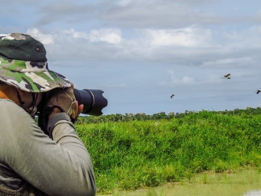 Birdwatching, courtesy of Dieny Portinanni on Upspash Man photographing wild birds flying