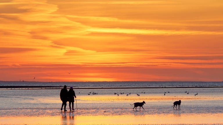 A couple walking along the sandy beach at Selsey at sunset accompanied by their two dogs 