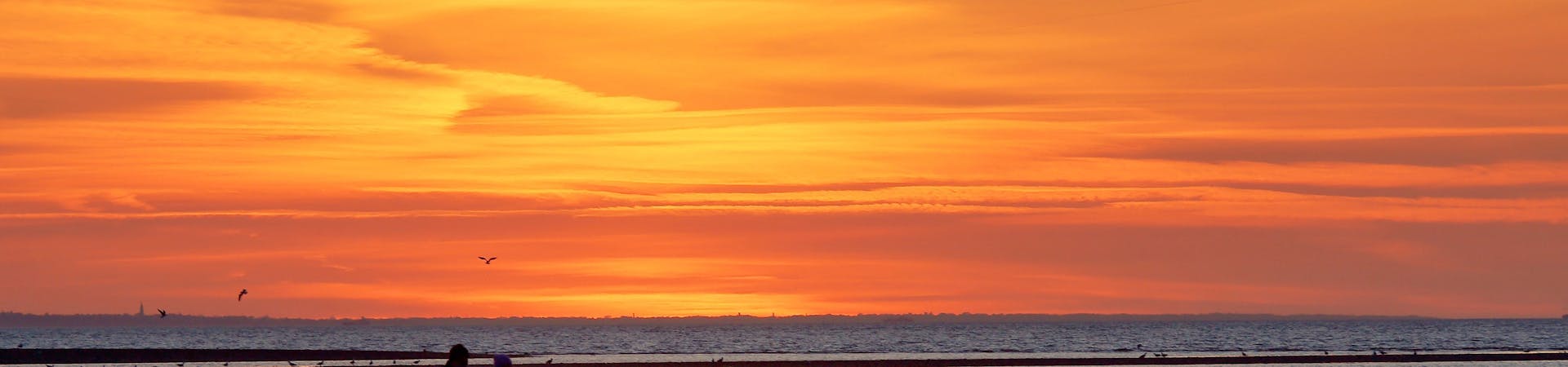 A couple walking along the sandy beach at Selsey at sunset accompanied by their two dogs