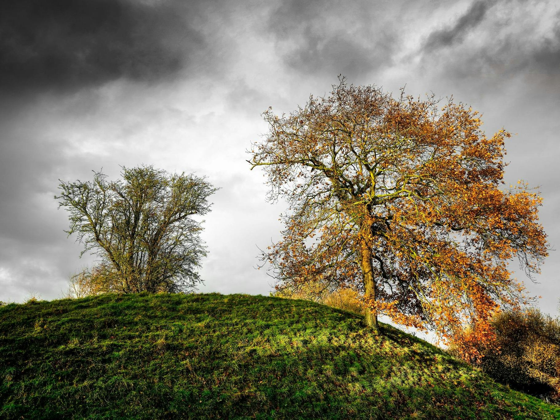 Dramatic image of the mound at church Norton two autumnal trees and moody grey skies 