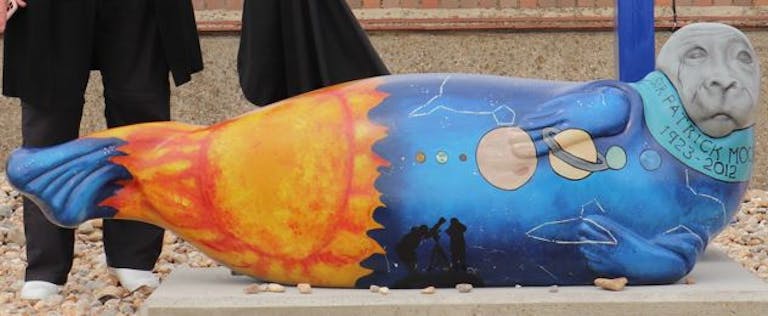Fibreglass seal painted with imagery celebrating Selsey's dark skies made famous by the late Sir Patrick Moore. Designed by Megan Masters