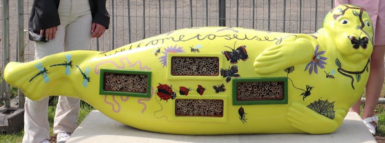 Fibreglass seal with bug box inserts and imagery of insect and bugs. Designed by Carleigh Barker and Rosie Harris with bug boxes created by the children from Seal Academy and Medmerry School