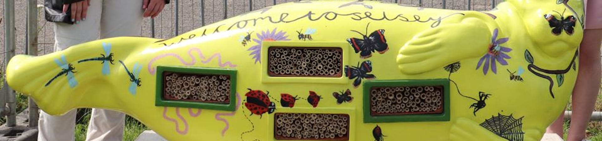 Fibreglass seal with bug box inserts and imagery of insect and bugs. Designed by Carleigh Barker and Rosie Harris with bug boxes created by the children from Seal Academy and Medmerry School