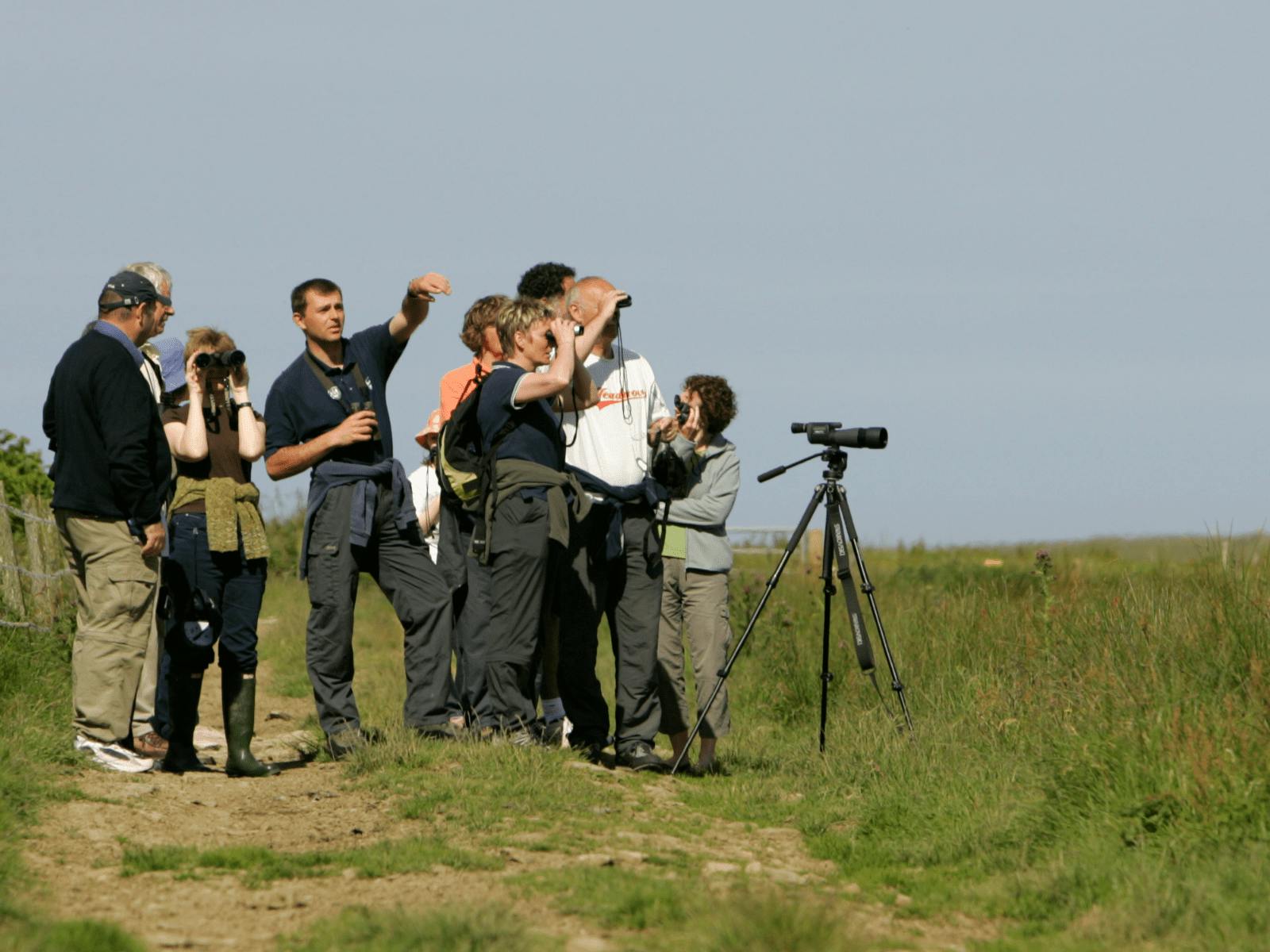 Group of people with binoculars looking for birds