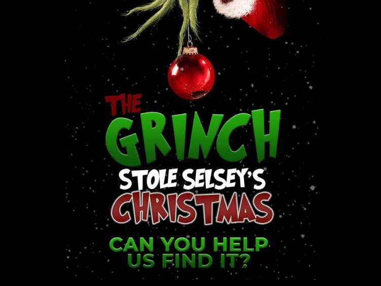 The Grinch Stole Selsey's Christmas. Can you help us find it?