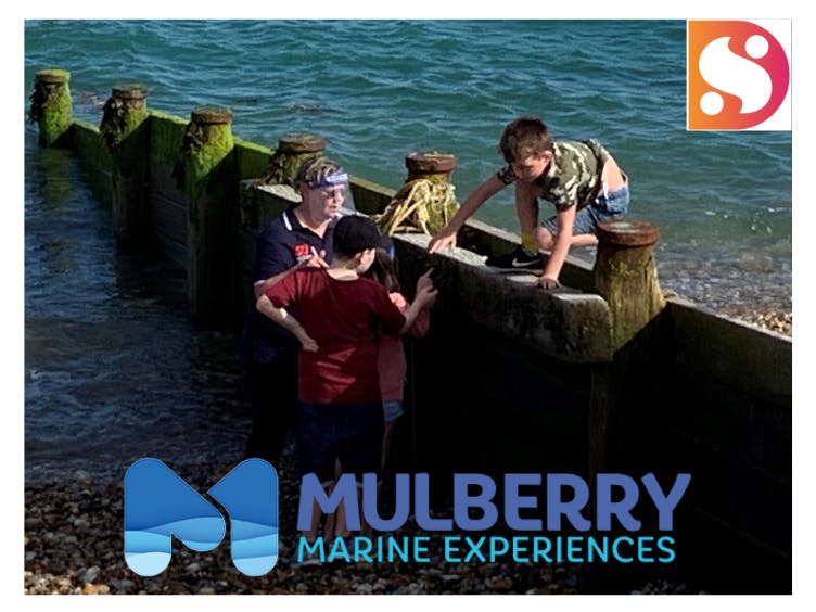 Children's Marine Ecology Club Photograph showing children with a guide, exploring the Marine Ecology