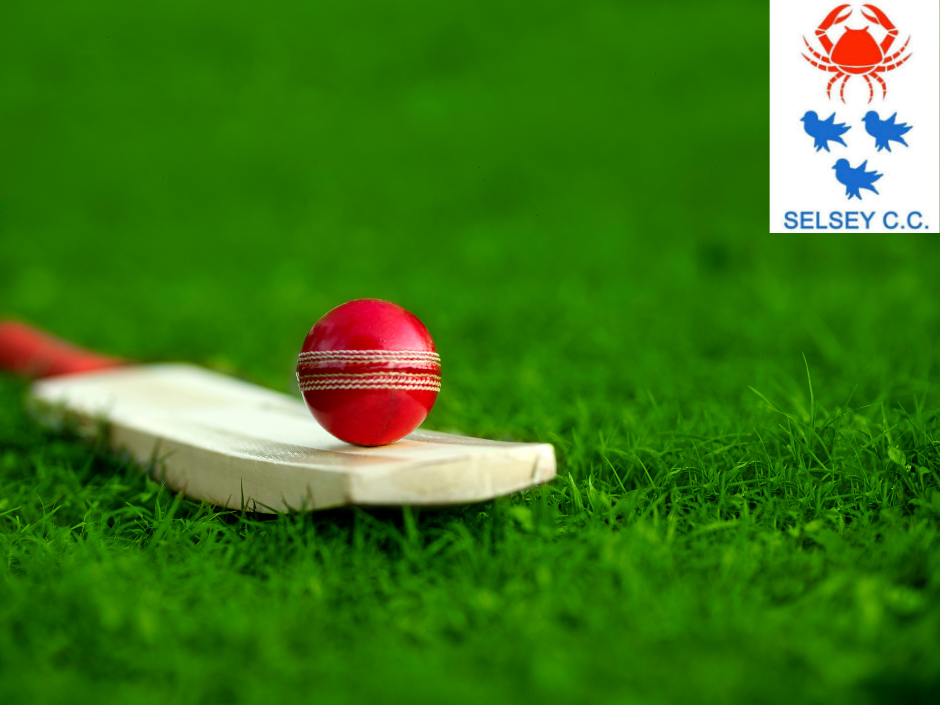A cricket bat on a grass field with a cricket ball balanced on top