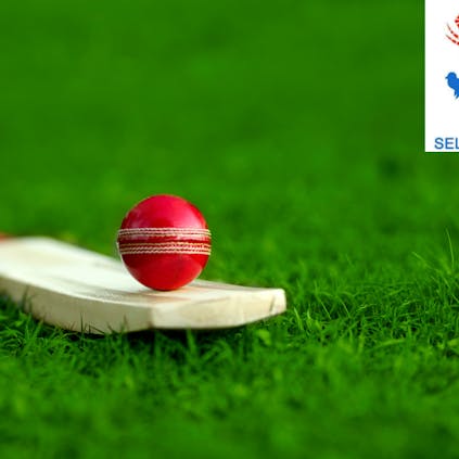 A cricket bat on a grass field with a cricket ball balanced on top