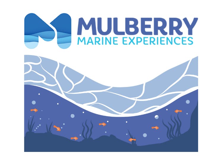Graphic underwater representation with fish