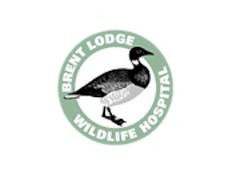 Brent Lodge Wildlife Hospital