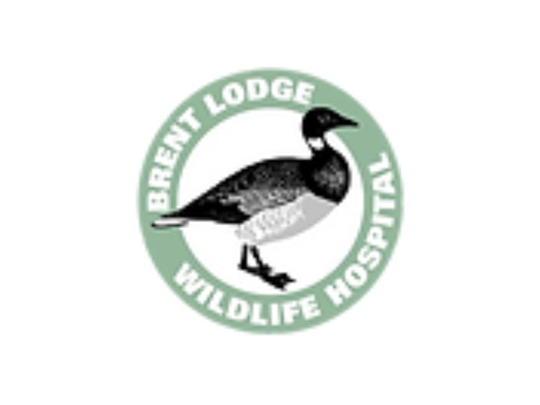 Brent Lodge Wildlife Hospital Brent Lodge Wildlife Hospital