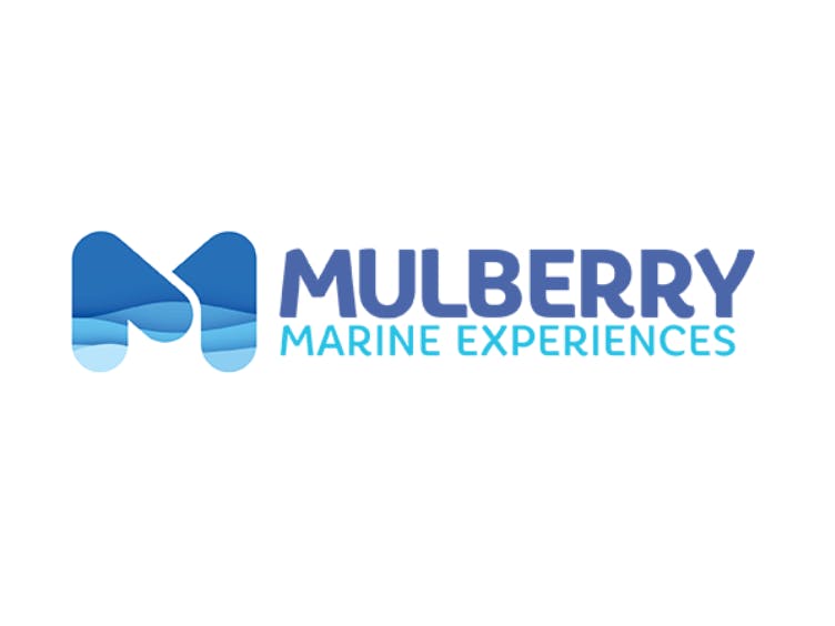 Mulberry Marine Experiences
