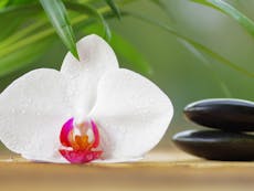 Photograph of an orchid flower and balancing stones