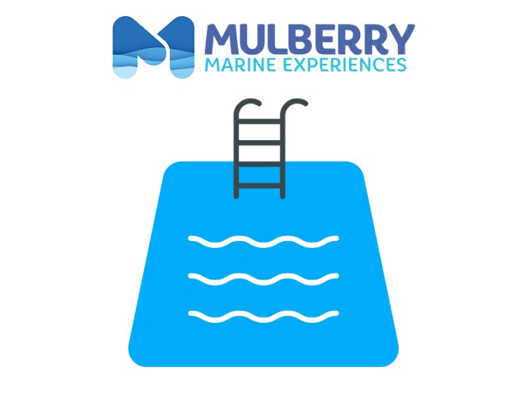 Mulberry Marine Experiences. Illustration of a swimming pool.
