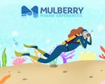 Mulberry Marine Experiences. Illustration of a diver under the sea.