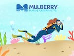 Mulberry Marine Experiences. Illustration of a diver under the sea.