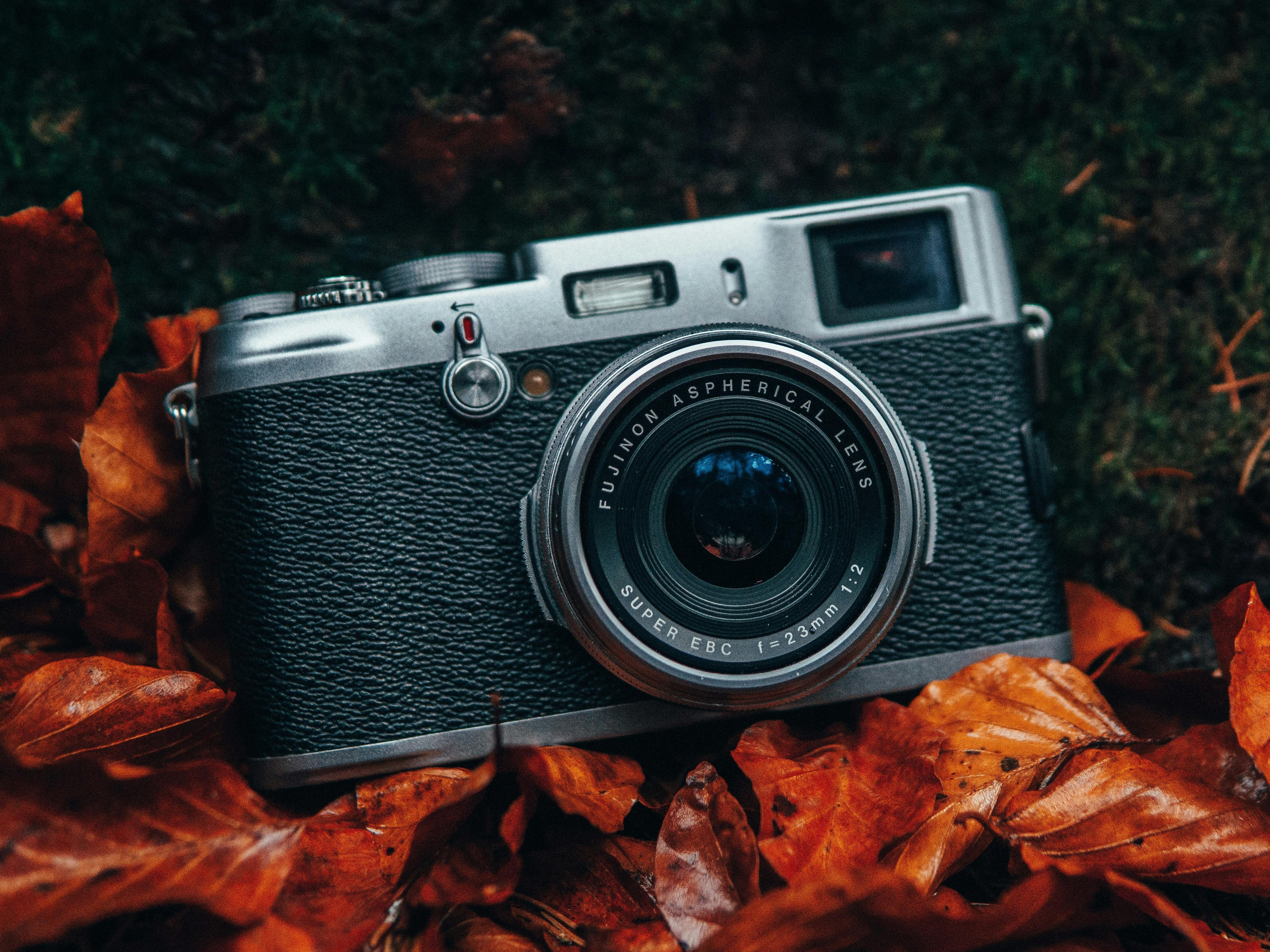 Photographic camera sat on orange autumn leaves with grass in the background