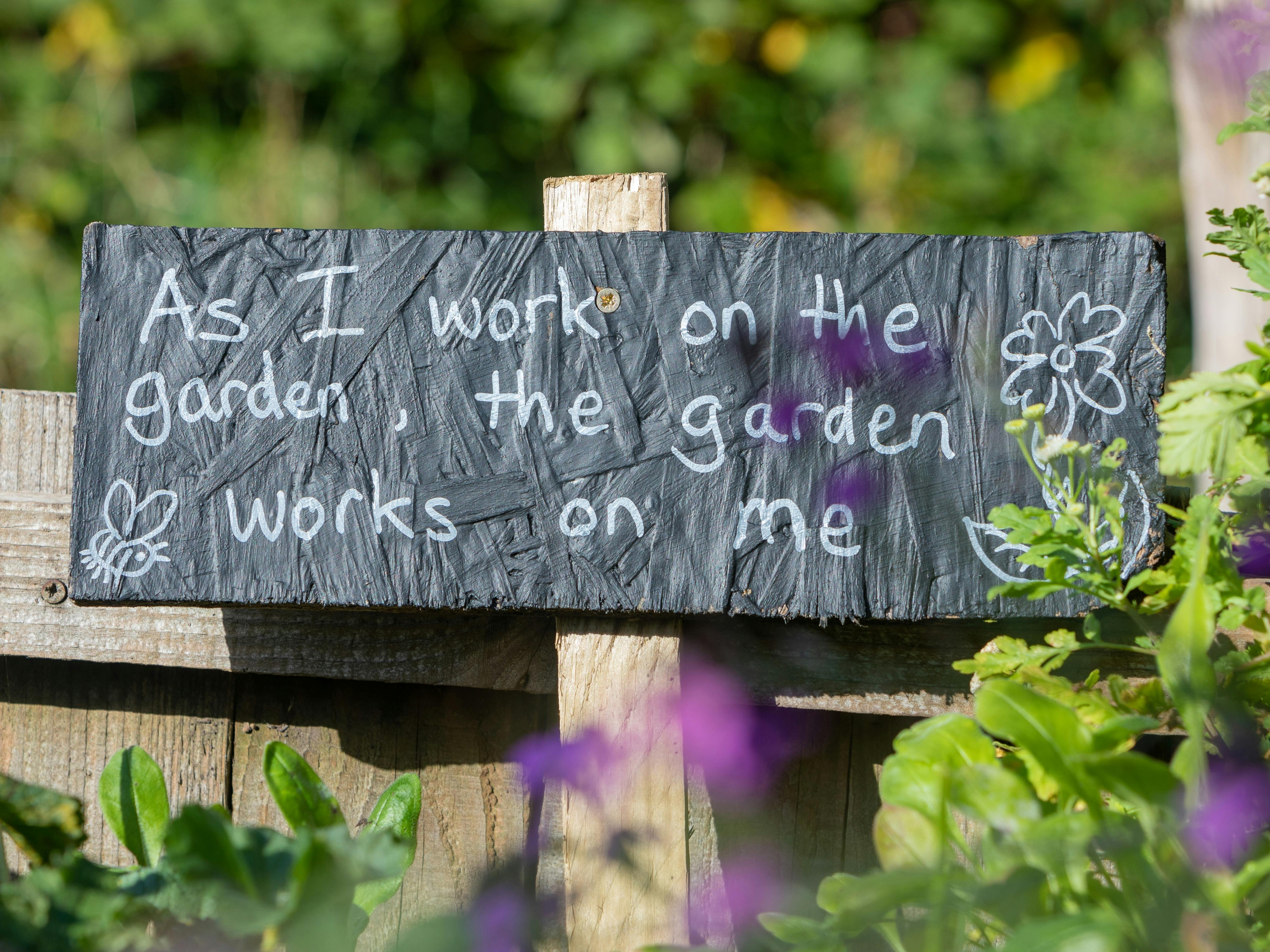 Garden sign with the words As I work on the garden, the garden works on me' with purple flowers and other live greenery in the foreground